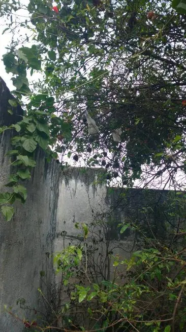 Foto 6 de Casa com 3 quartos à venda, 160m2 em Vila Picinin, São Paulo - SP