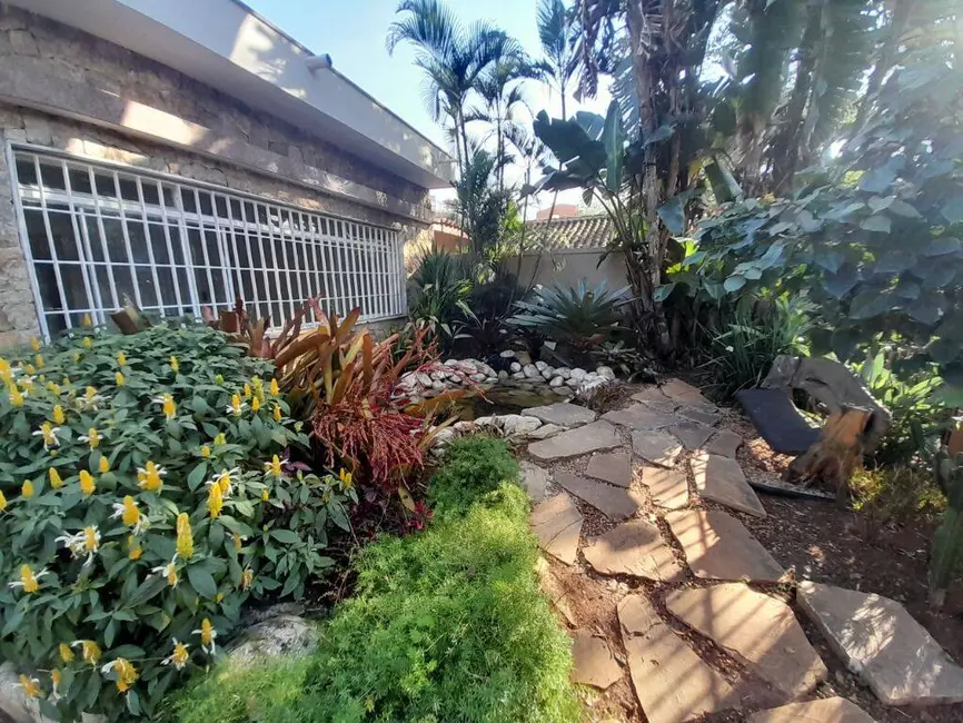 Casa com 3 quartos para alugar em Alto da Lapa, São Paulo - SP - imagem 1 Foto 1 de Casa com 3 quartos para alugar em Alto da Lapa, São Paulo - SP