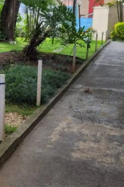 Foto 7 de Apartamento com 2 quartos à venda e para alugar, 76m2 em Vila Albertina, São Paulo - SP