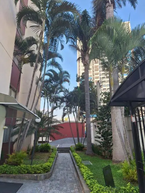 Foto 1 de Apartamento com 2 quartos à venda, 59m2 em Vila Primavera, São Paulo - SP