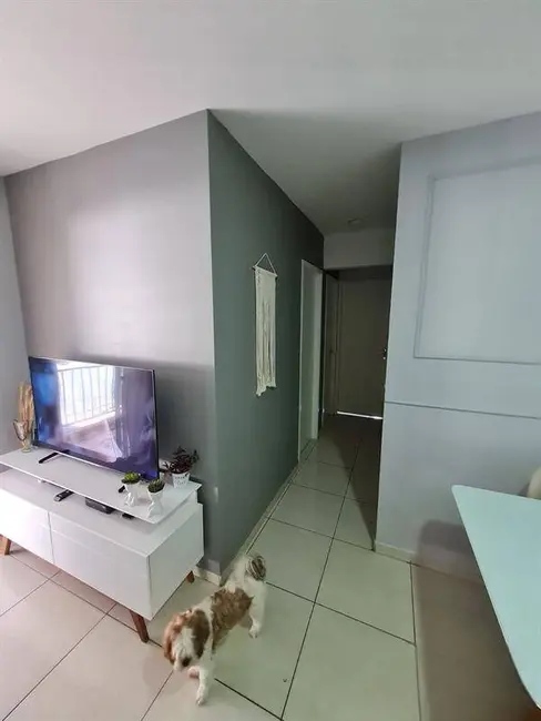 Foto 4 de Apartamento com 3 quartos à venda, 70m2 em Vila Siqueira (Zona Norte), São Paulo - SP