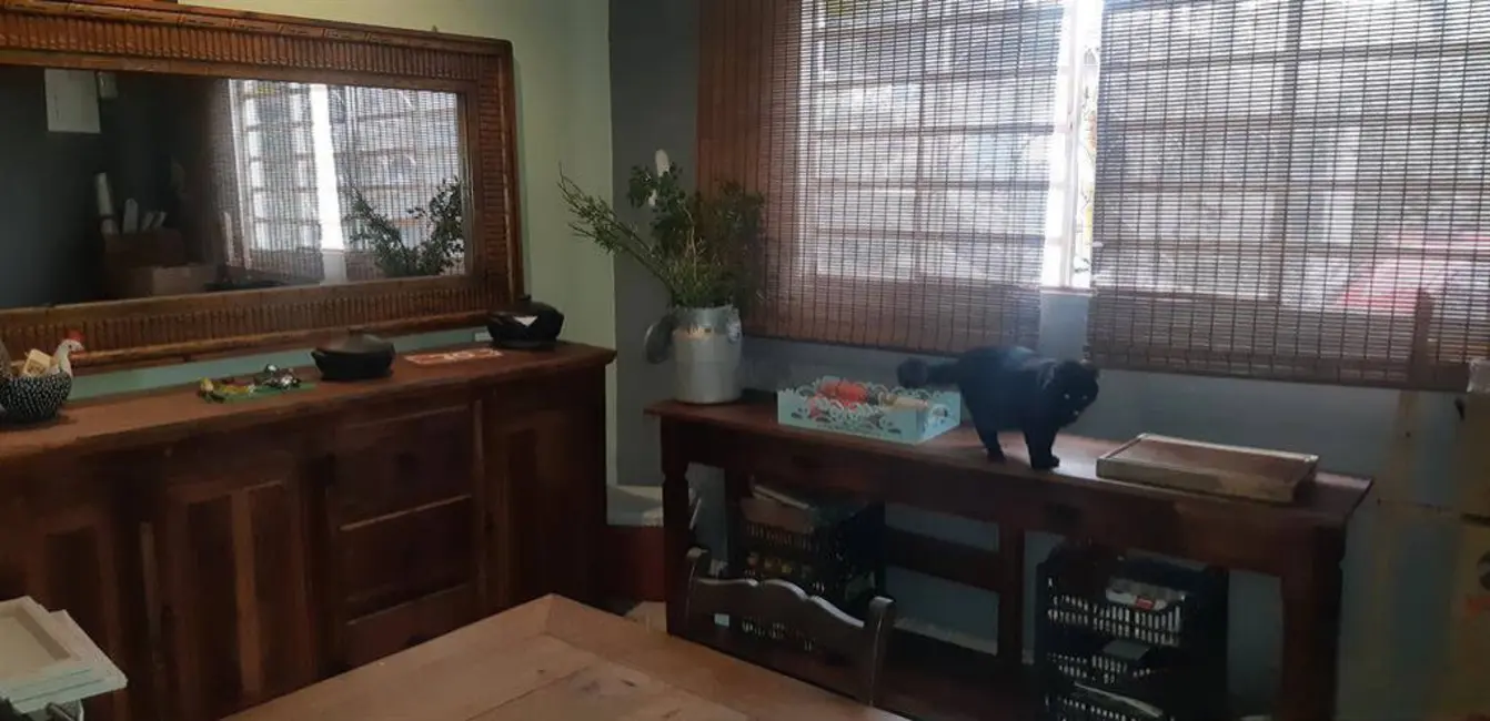 Foto 9 de Casa com 3 quartos à venda, 200m2 em Vila Amália (Zona Norte), São Paulo - SP