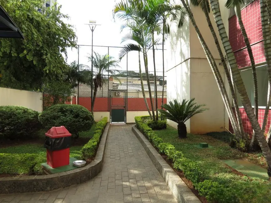 Foto 1 de Apartamento com 2 quartos à venda, 60m2 em Vila Primavera, São Paulo - SP