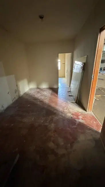 Foto 4 de Sala Comercial para alugar, 1000m2 em Vila Amália (Zona Norte), São Paulo - SP