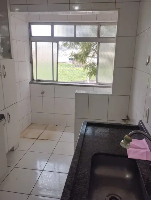 Foto 5 de Apartamento com 3 quartos à venda, 67m2 em Vila Constança, São Paulo - SP