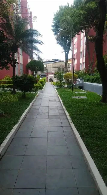 Foto 1 de Apartamento com 2 quartos à venda, 54m2 em Vila Pereira Cerca, São Paulo - SP