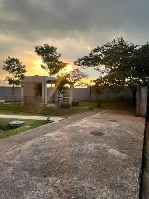 Apartamento com 2 quartos à venda, 38m2 em Parque Panamericano, São Paulo - SP - imagem 7 Foto 7 de Apartamento com 2 quartos à venda, 38m2 em Parque Panamericano, São Paulo - SP