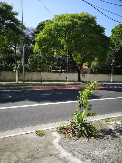 Foto 6 de Apartamento com 2 quartos à venda, 50m2 em Santana, São Paulo - SP