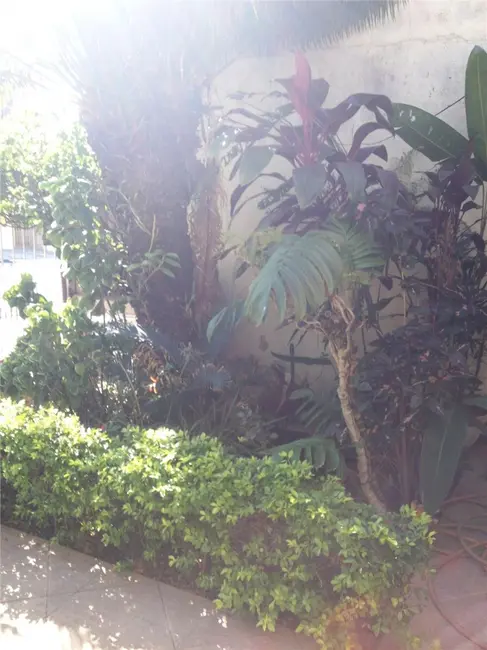 Foto 3 de Casa com 2 quartos à venda, 120m2 em Jardim Mangalot, São Paulo - SP