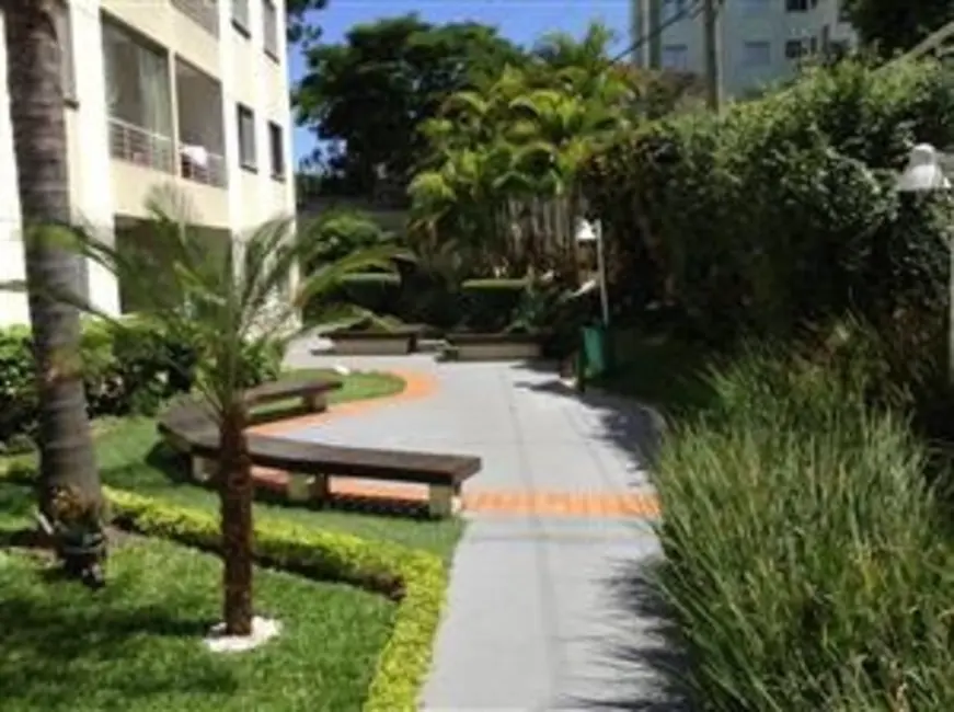 Foto 1 de Apartamento com 2 quartos à venda, 50m2 em Vila Amélia, São Paulo - SP