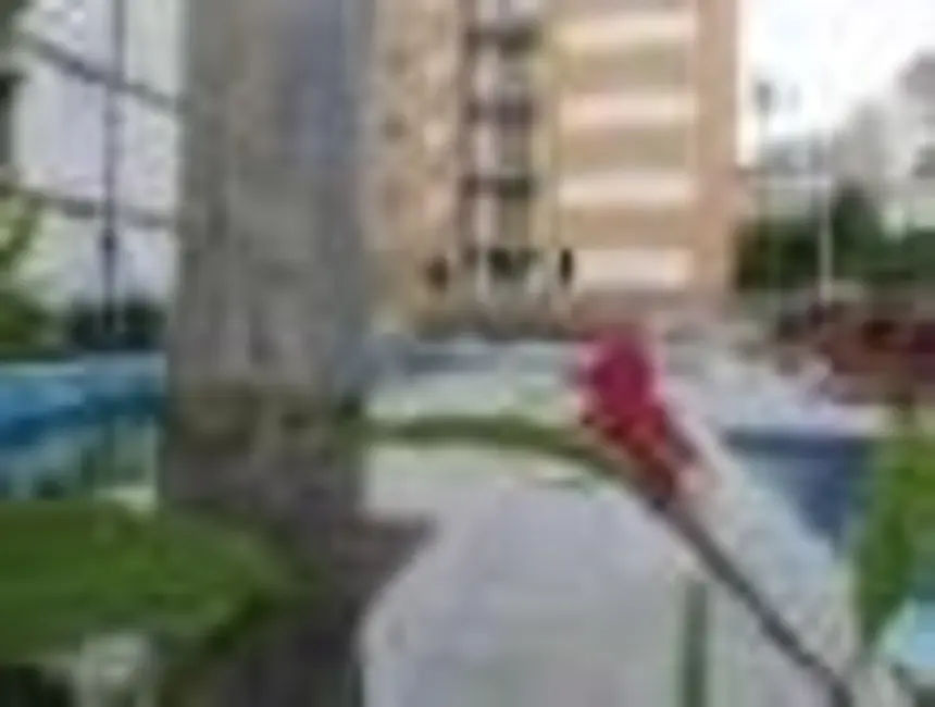 Apartamento com 3 quartos à venda, 70m2 em Nossa Senhora do Ó, São Paulo - SP - imagem 9 Foto 9 de Apartamento com 3 quartos à venda, 70m2 em Nossa Senhora do Ó, São Paulo - SP