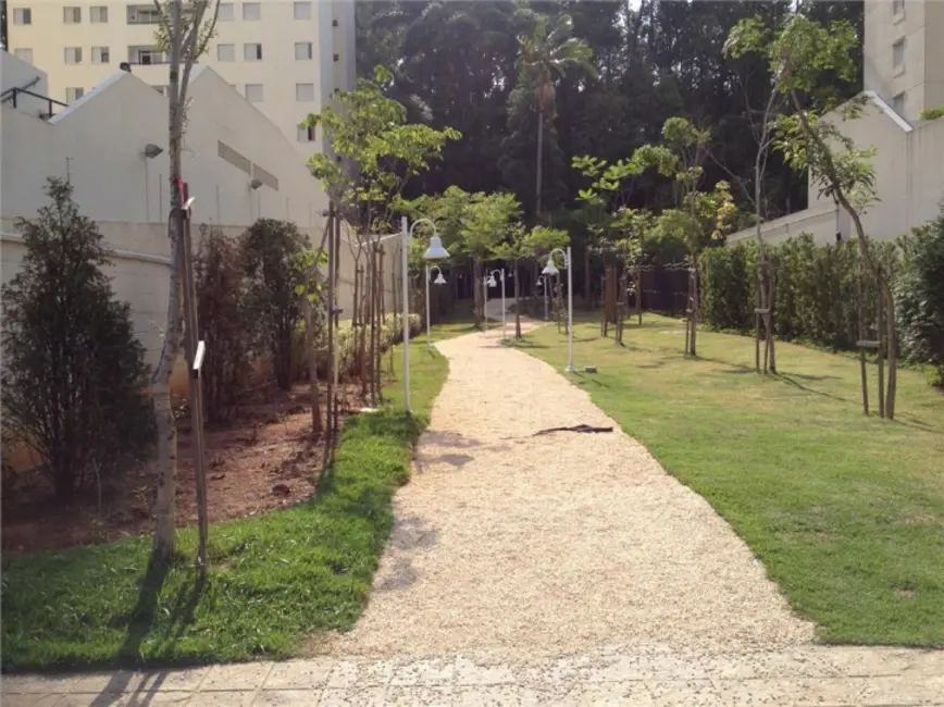 Foto 3 de Apartamento com 3 quartos à venda, 75m2 em Vila Amélia, São Paulo - SP