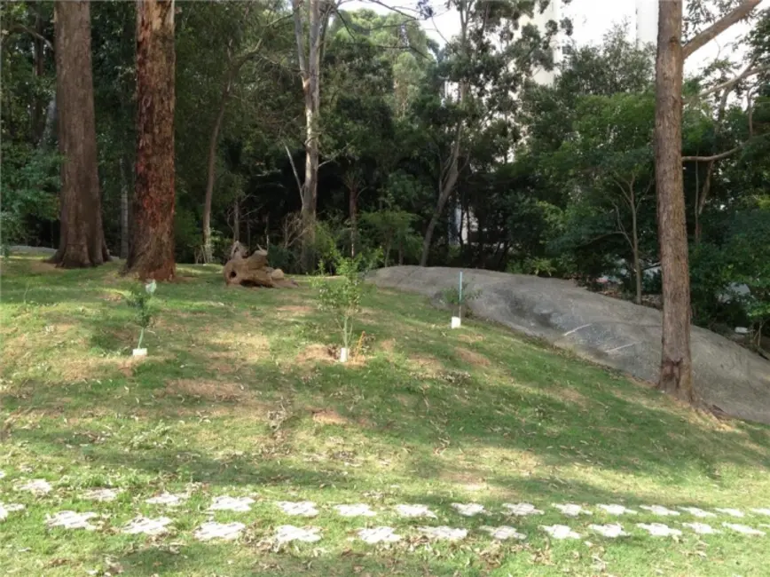 Foto 8 de Apartamento com 3 quartos à venda, 75m2 em Vila Amélia, São Paulo - SP