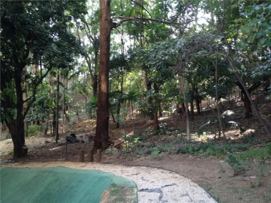 Foto 4 de Apartamento com 3 quartos à venda, 75m2 em Vila Amélia, São Paulo - SP