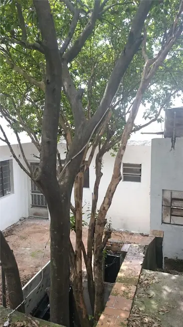 Foto 1 de Sobrado com 2 quartos à venda, 100m2 em Vila Pereira Cerca, São Paulo - SP