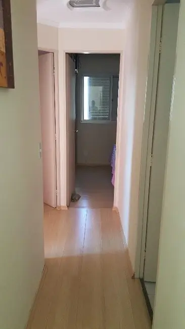 Foto 8 de Apartamento com 3 quartos à venda, 70m2 em Vila Albertina, São Paulo - SP