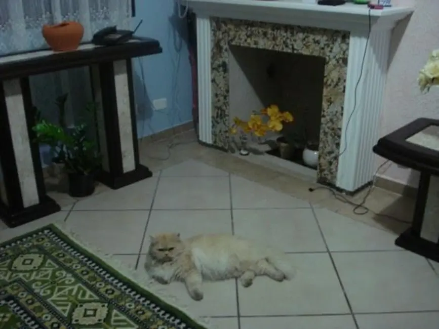 Sobrado com 3 quartos à venda, 160m2 em Jardim Cidade Pirituba, São Paulo - SP - imagem 2 Foto 2 de Sobrado com 3 quartos à venda, 160m2 em Jardim Cidade Pirituba, São Paulo - SP