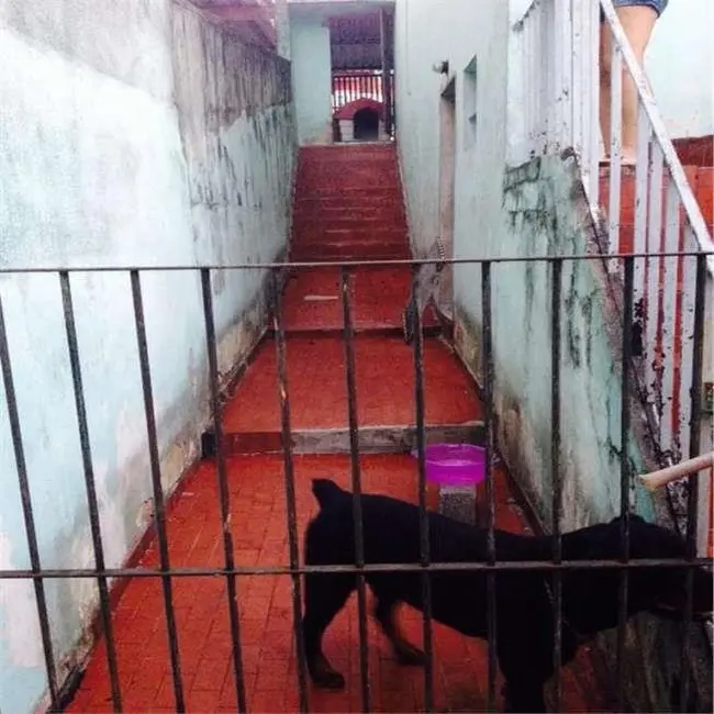 Foto 7 de Sobrado com 3 quartos à venda, 100m2 em Vila Boaçava, São Paulo - SP