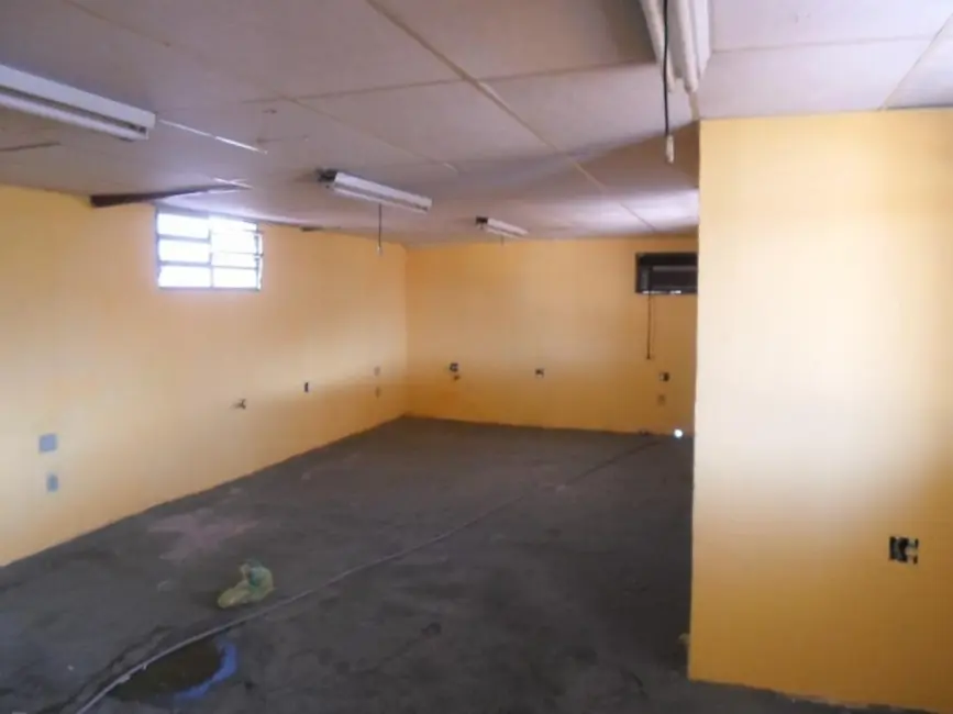 Foto 9 de Casa com 5 quartos para alugar, 230m2 em Vila Pereira Barreto, São Paulo - SP