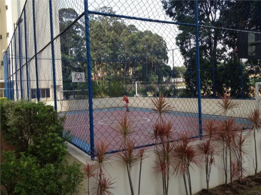 Foto 4 de Apartamento com 3 quartos à venda, 74m2 em Vila Amélia, São Paulo - SP