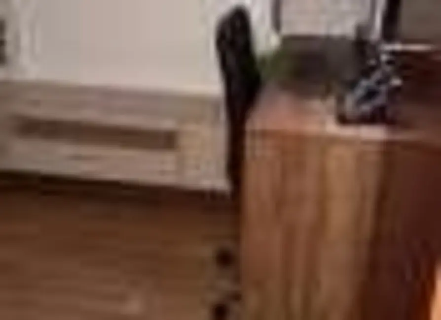 Foto 5 de Casa com 3 quartos à venda, 102m2 em Vila Nossa Senhora do Retiro, São Paulo - SP