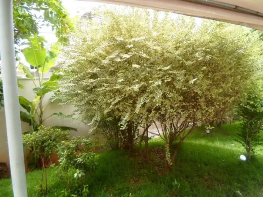 Apartamento com 3 quartos à venda, 70m2 em Moinho Velho, São Paulo - SP - imagem 3 Foto 3 de Apartamento com 3 quartos à venda, 70m2 em Moinho Velho, São Paulo - SP