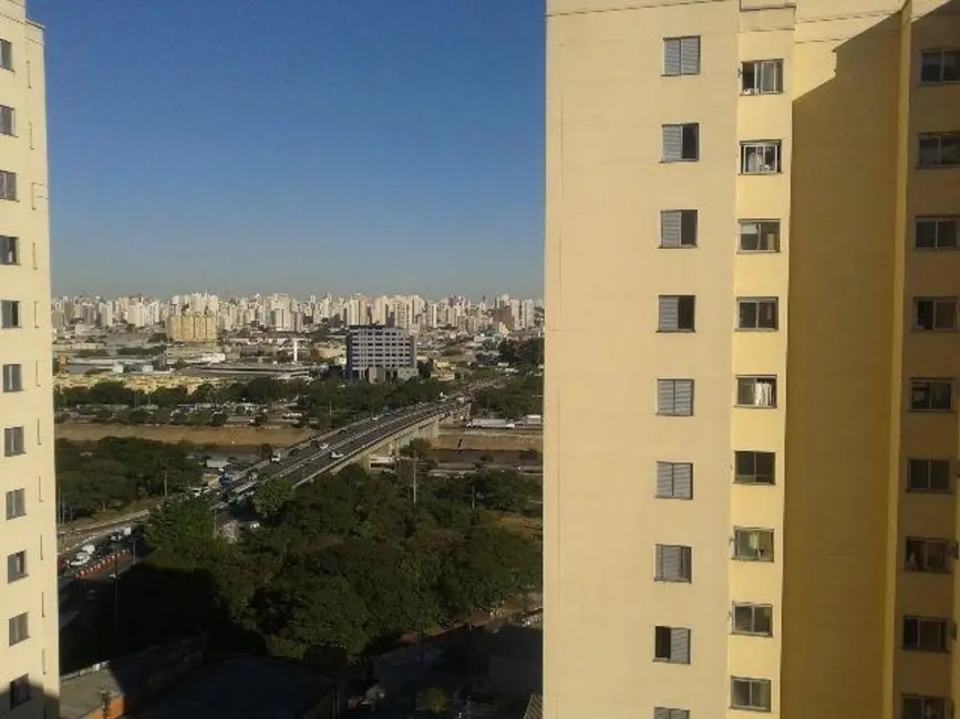 Apartamento com 3 quartos à venda, 69m2 em Piqueri, São Paulo - SP - imagem 8 Foto 8 de Apartamento com 3 quartos à venda, 69m2 em Piqueri, São Paulo - SP