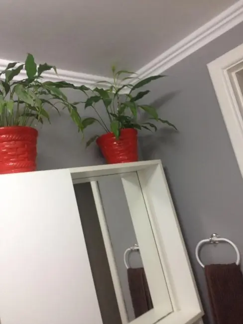 Foto 2 de Apartamento com 2 quartos à venda, 44m2 em Jaraguá, São Paulo - SP