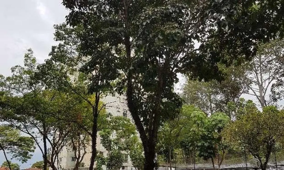 Foto 3 de Apartamento com 3 quartos à venda, 80m2 em City América, São Paulo - SP