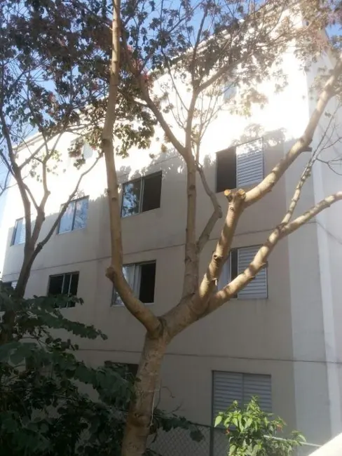 Foto 1 de Apartamento com 2 quartos à venda, 43m2 em Vila Jaraguá, São Paulo - SP