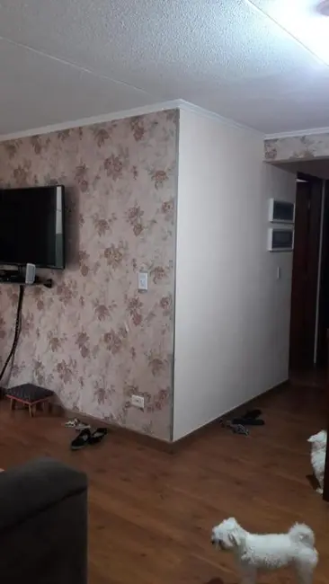 Foto 9 de Apartamento com 2 quartos à venda, 57m2 em Jardim Santa Mônica, São Paulo - SP