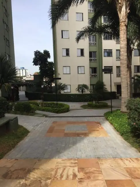 Apartamento com 2 quartos para alugar, 48m2 em Vila Cruz das Almas, São Paulo - SP - imagem 7 Foto 7 de Apartamento com 2 quartos para alugar, 48m2 em Vila Cruz das Almas, São Paulo - SP
