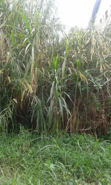 Foto 7 de Terreno / Lote à venda, 420m2 em Jardim Regina, São Paulo - SP