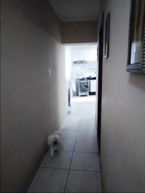 Foto 5 de Casa com 4 quartos à venda, 208m2 em Vila Barreto, São Paulo - SP