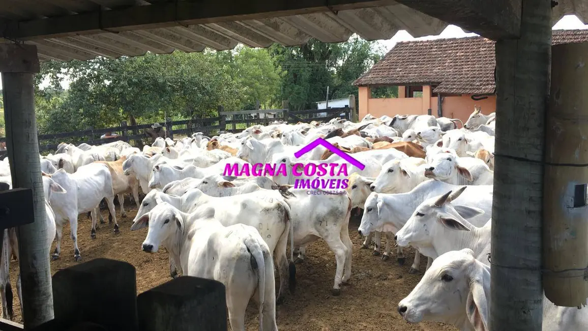 Foto 5 de Fazenda / Haras com 1 quarto à venda, 2520000m2 em Araruama - RJ