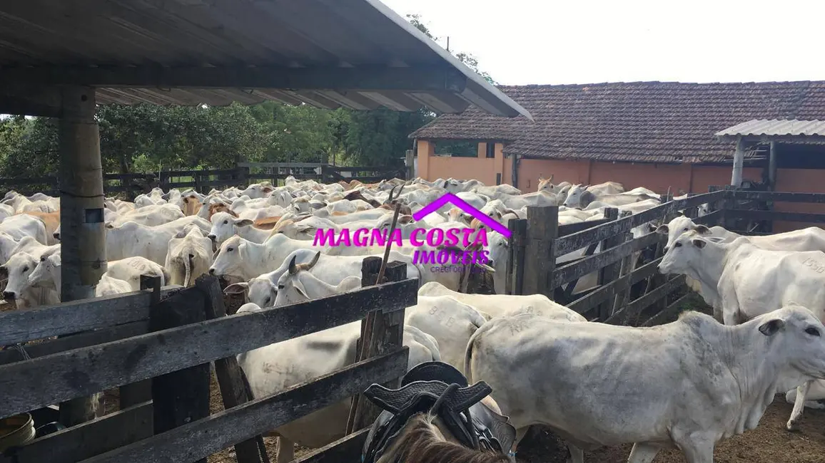 Foto 4 de Fazenda / Haras com 1 quarto à venda, 2520000m2 em Araruama - RJ