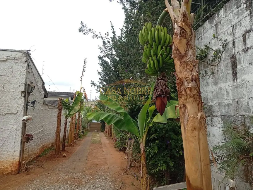 Foto 4 de Chácara com 2 quartos à venda, 900m2 em Jardim Paulista, Taubate - SP