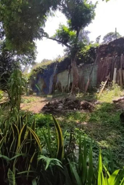 Foto 7 de Casa com 3 quartos à venda, 1800m2 em Eldorado, São Paulo - SP