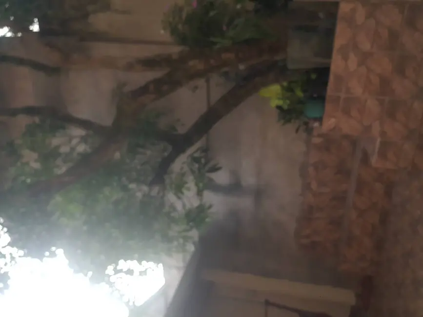 Casa com 3 quartos à venda, 150m2 em Guacuri, São Paulo - SP - imagem 7 Foto 7 de Casa com 3 quartos à venda, 150m2 em Guacuri, São Paulo - SP