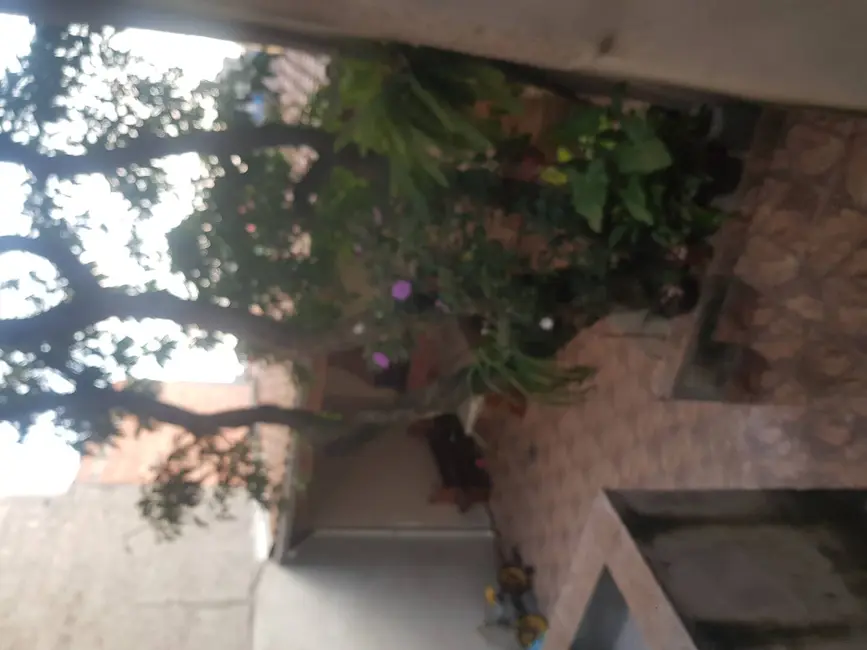 Casa com 3 quartos à venda, 150m2 em Guacuri, São Paulo - SP - imagem 5 Foto 5 de Casa com 3 quartos à venda, 150m2 em Guacuri, São Paulo - SP
