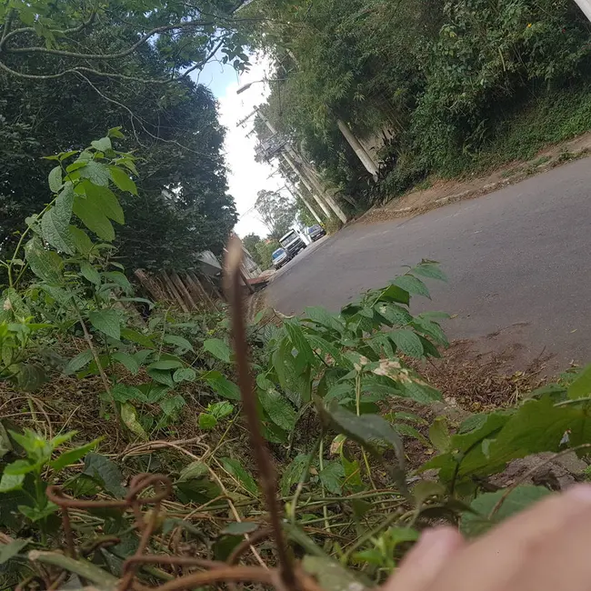 Foto 3 de Terreno / Lote à venda em Eldorado, São Paulo - SP