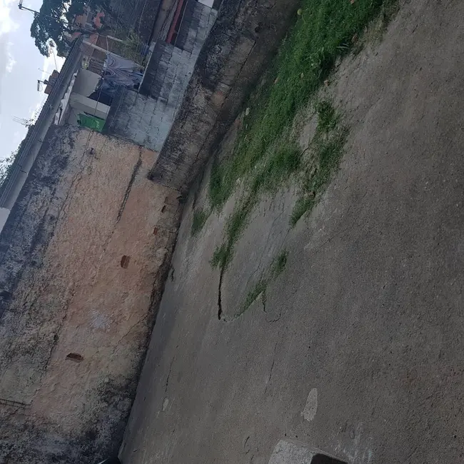 Casa com 5 quartos à venda em Jardim Miriam, São Paulo - SP - imagem 8 Foto 8 de Casa com 5 quartos à venda em Jardim Miriam, São Paulo - SP