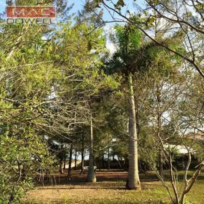 Foto 8 de Sítio / Rancho com 3 quartos à venda, 5040m2 em Saquarema - RJ