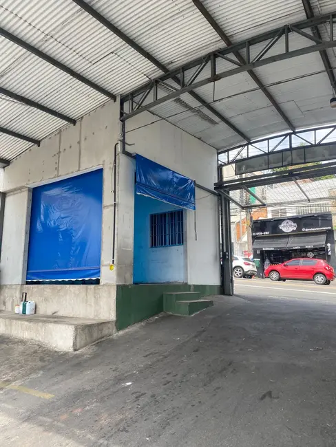 Foto 8 de Terreno / Lote à venda, 480m2 em Água Fria, São Paulo - SP