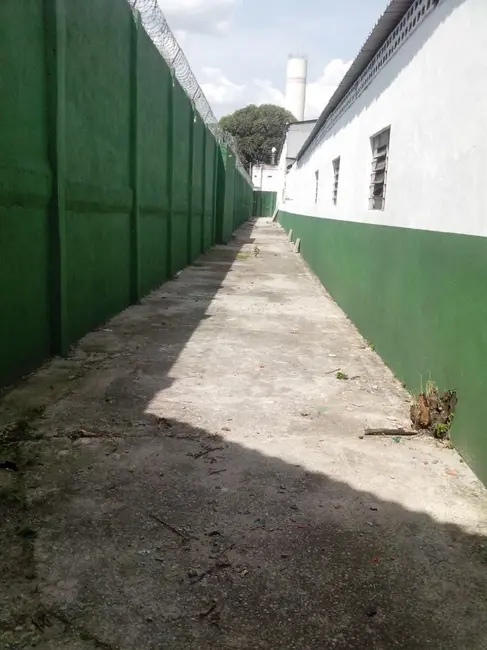 Foto 6 de Armazém / Galpão à venda e para alugar, 4603m2 em Parque Novo Mundo, São Paulo - SP