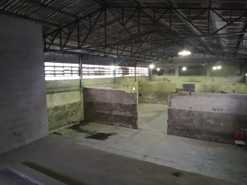 Armazém / Galpão à venda, 800m2 em São Paulo - SP - imagem 8 Foto 8 de Armazém / Galpão à venda, 800m2 em São Paulo - SP