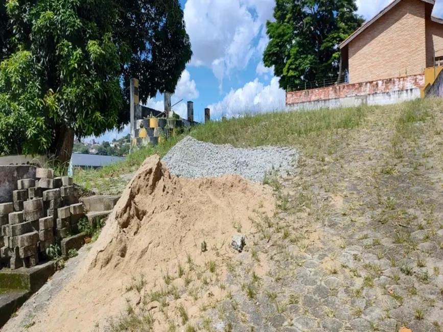 Terreno / Lote à venda em Vila Albertina, São Paulo - SP - imagem 7 Foto 7 de Terreno / Lote à venda em Vila Albertina, São Paulo - SP