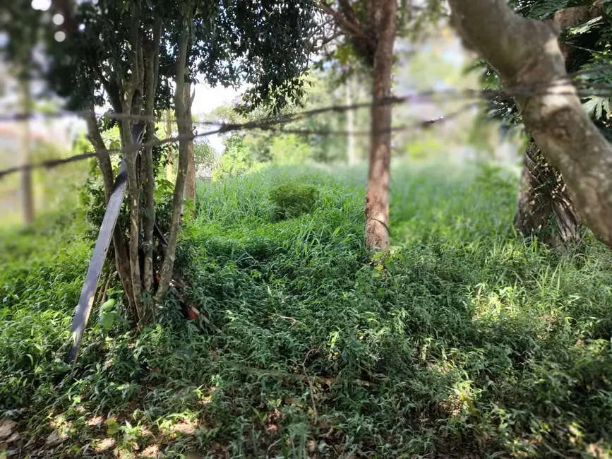 Terreno / Lote à venda em Tremembé, São Paulo - SP - imagem 4 Foto 4 de Terreno / Lote à venda em Tremembé, São Paulo - SP