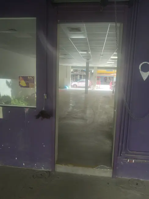 Armazém / Galpão para alugar, 324m2 em Pinheiros, São Paulo - SP - imagem 8 Foto 8 de Armazém / Galpão para alugar, 324m2 em Pinheiros, São Paulo - SP