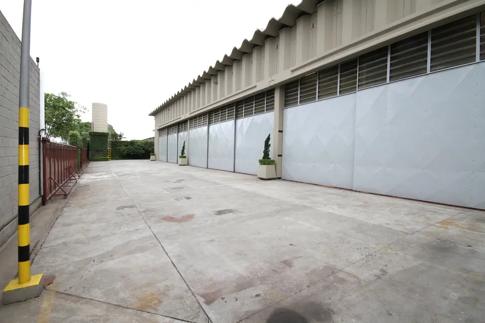 Foto 5 de Armazém / Galpão para alugar, 2936m2 em Parque Novo Mundo, São Paulo - SP